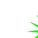 Venture Profile Trinity SOLAR Energy image of Logo